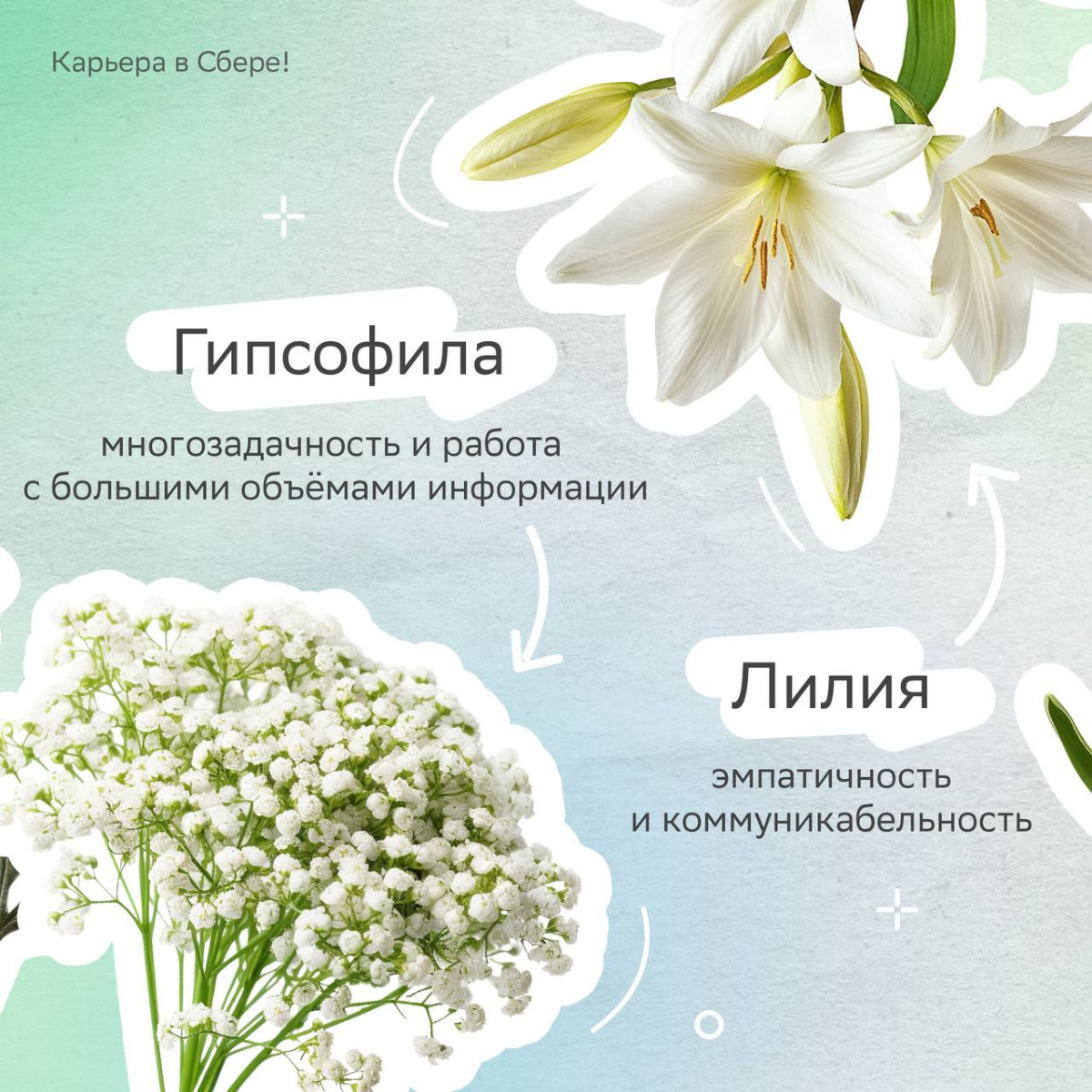 Весна — самое время для красивых букетов, а тем более таких необычных!
У карьерных флористов каждый цветок отражает софт- и хард-скилы — выбирай, из каких состоит твой?
Делись в комментариях, из каких... | Сетка — социальная сеть от hh.ru
