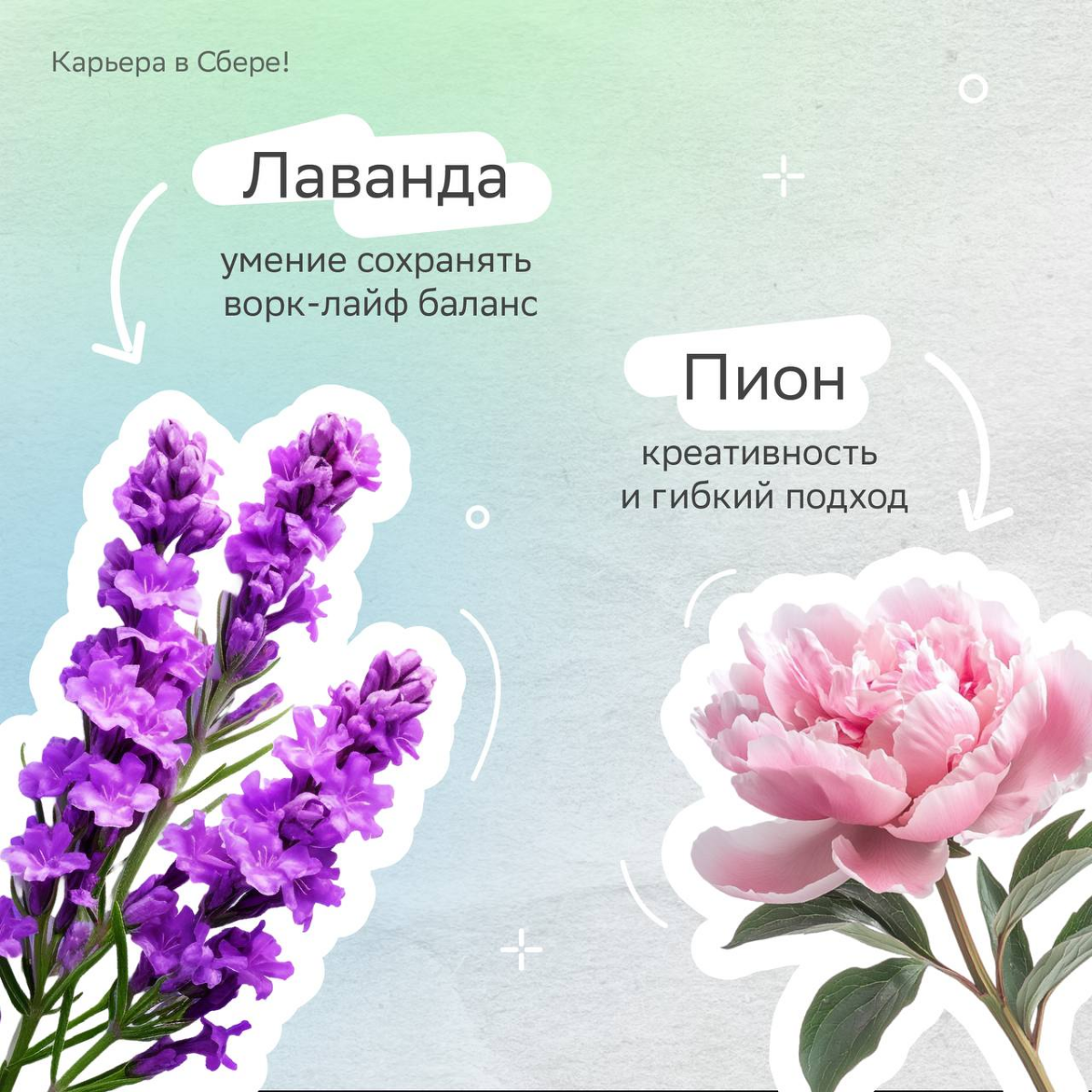 Весна — самое время для красивых букетов, а тем более таких необычных!
У карьерных флористов каждый цветок отражает софт- и хард-скилы — выбирай, из каких состоит твой?
Делись в комментариях, из каких... | Сетка — социальная сеть от hh.ru