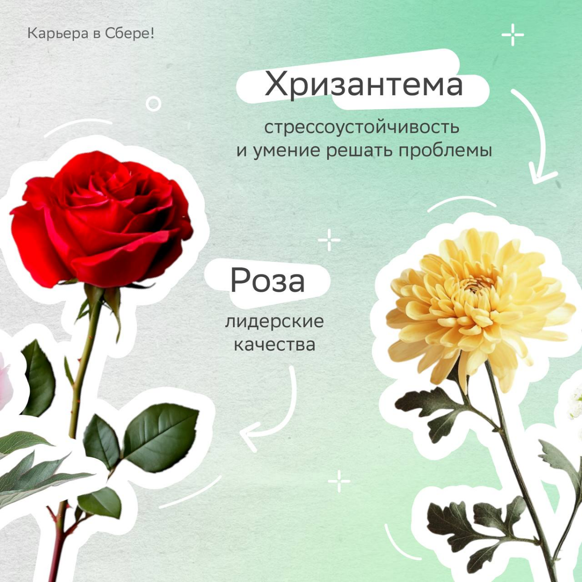 Весна — самое время для красивых букетов, а тем более таких необычных!
У карьерных флористов каждый цветок отражает софт- и хард-скилы — выбирай, из каких состоит твой?
Делись в комментариях, из каких... | Сетка — социальная сеть от hh.ru