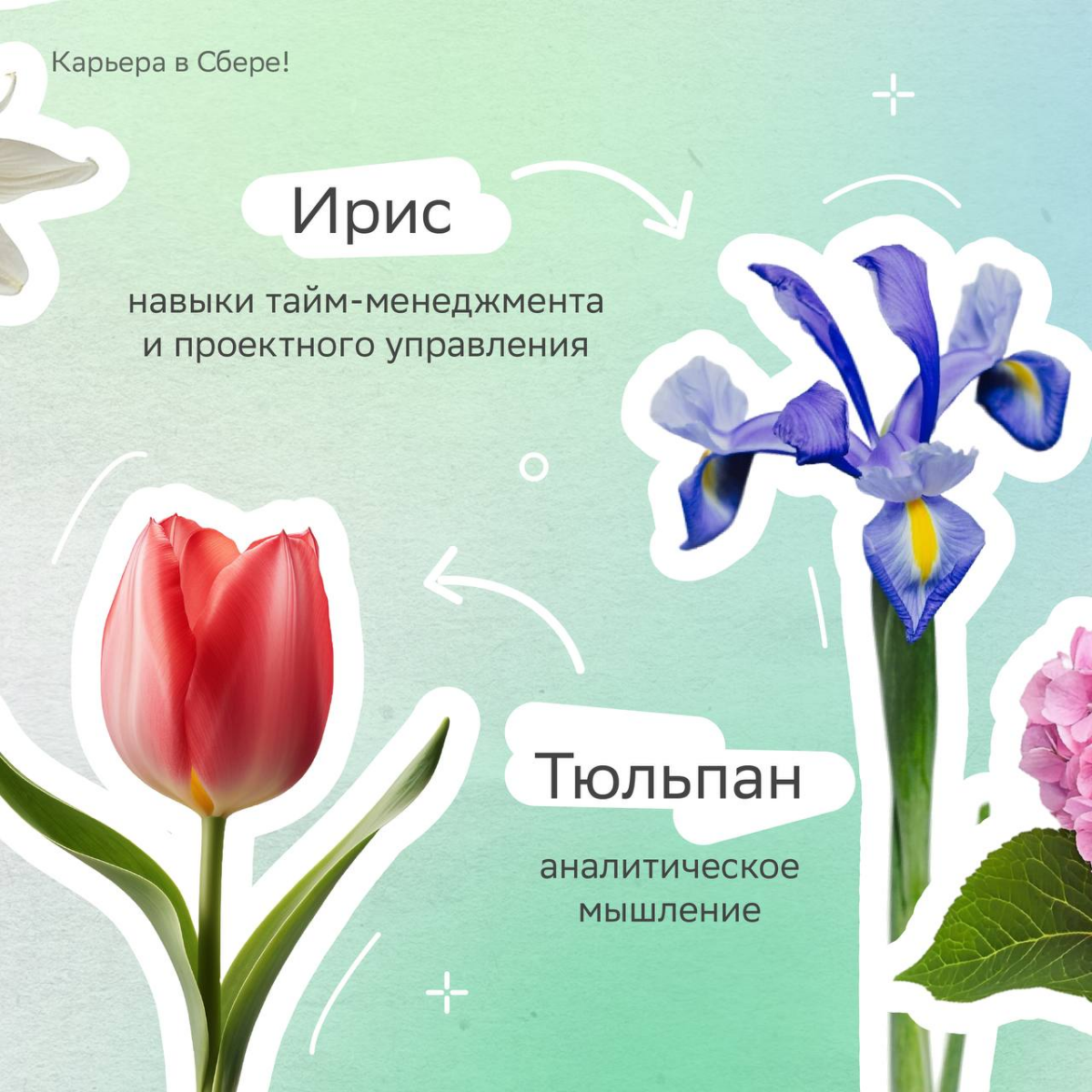 Весна — самое время для красивых букетов, а тем более таких необычных!
У карьерных флористов каждый цветок отражает софт- и хард-скилы — выбирай, из каких состоит твой?
Делись в комментариях, из каких... | Сетка — социальная сеть от hh.ru