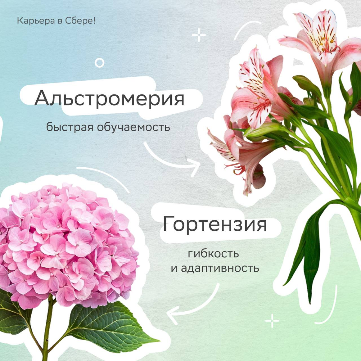 Весна — самое время для красивых букетов, а тем более таких необычных!
У карьерных флористов каждый цветок отражает софт- и хард-скилы — выбирай, из каких состоит твой?
Делись в комментариях, из каких... | Сетка — социальная сеть от hh.ru