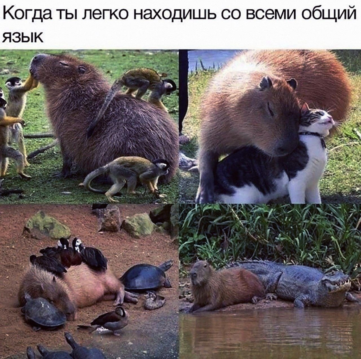 Когда ты HR | Сетка — социальная сеть от hh.ru