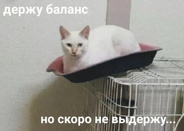 «Как я перестала жить на работе (и вам советую)» | Сетка — социальная сеть от hh.ru