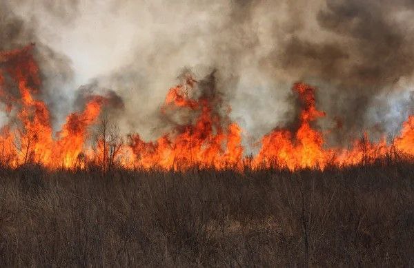 На Ставрополье растёт число природных пожаров
И это в том числе из-за резких перемен в погодных условиях. Такое мнение высказал профессор СКФУ, доктор физико-математических наук Роберт Закинян | Сетка — социальная сеть от hh.ru