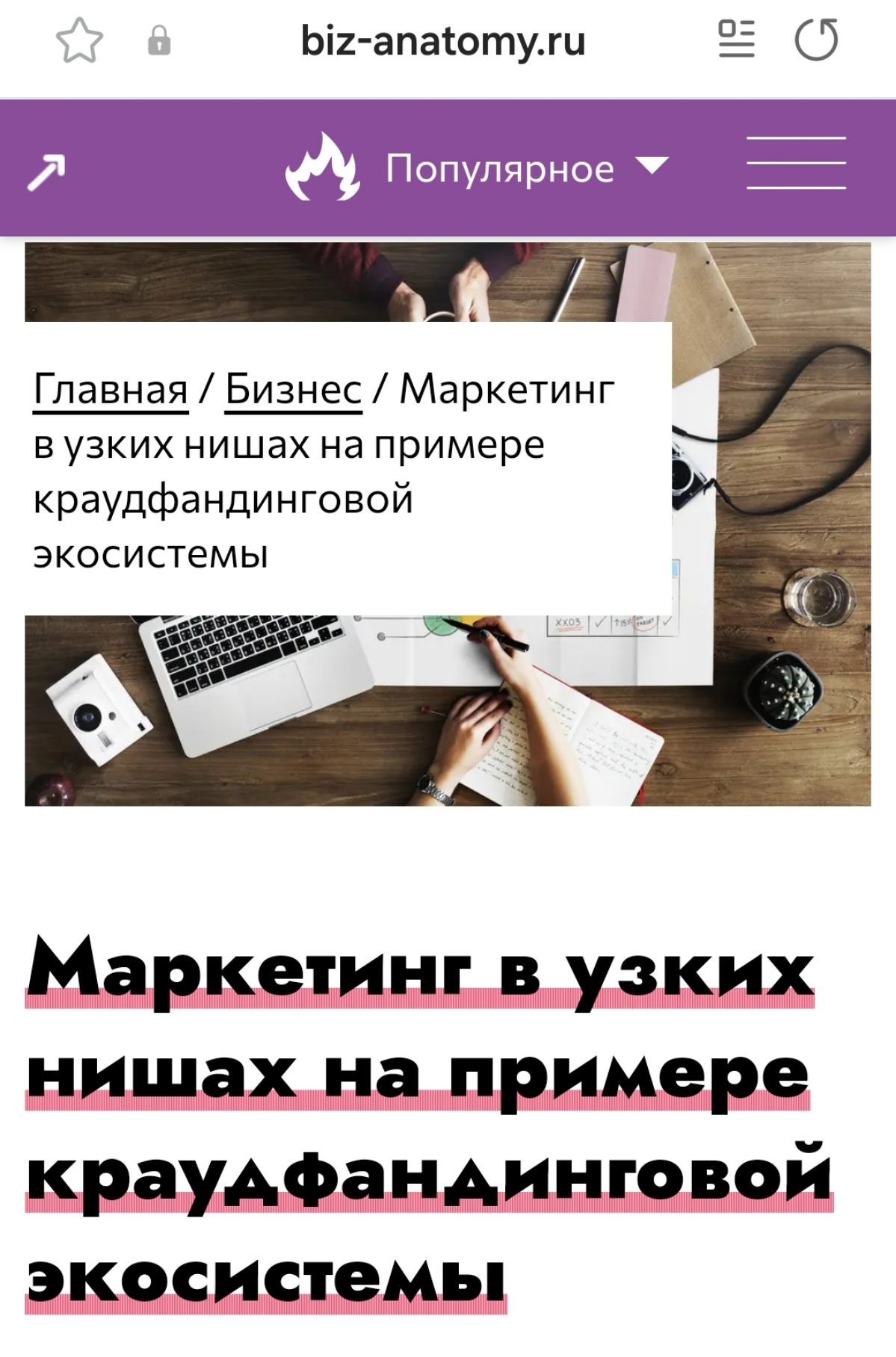 https://biz-anatomy.ru/vse-stati/marketing-v-uzkih-nishah-na-primere-kraudfandingovoy-ekosistemy | Сетка — социальная сеть от hh.ru