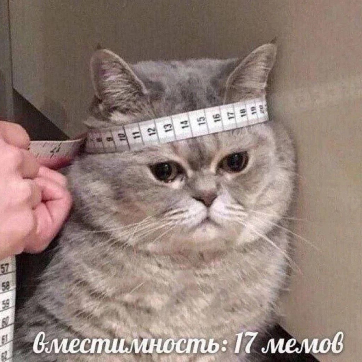 Александр Гурьянов