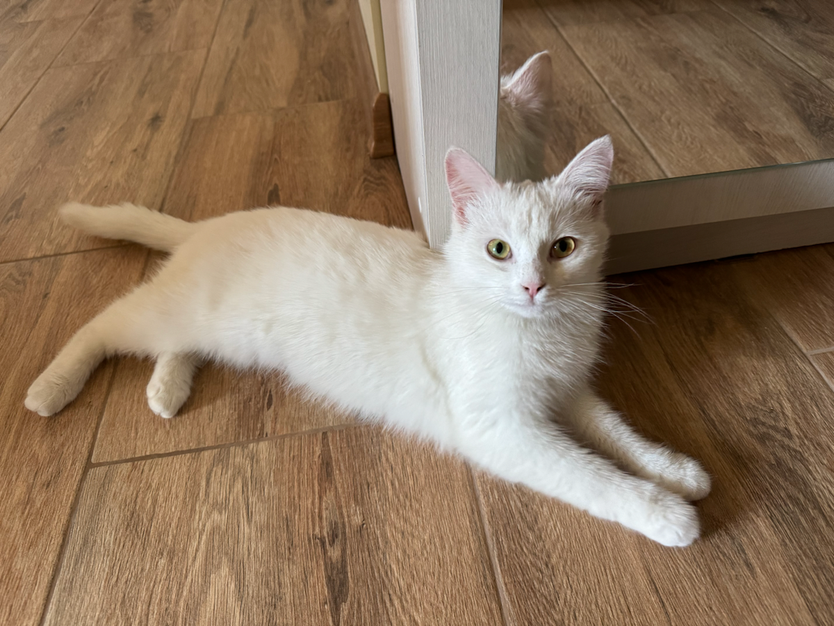 IT вечерочек снова оказался полезным | Сетка — социальная сеть от hh.ru