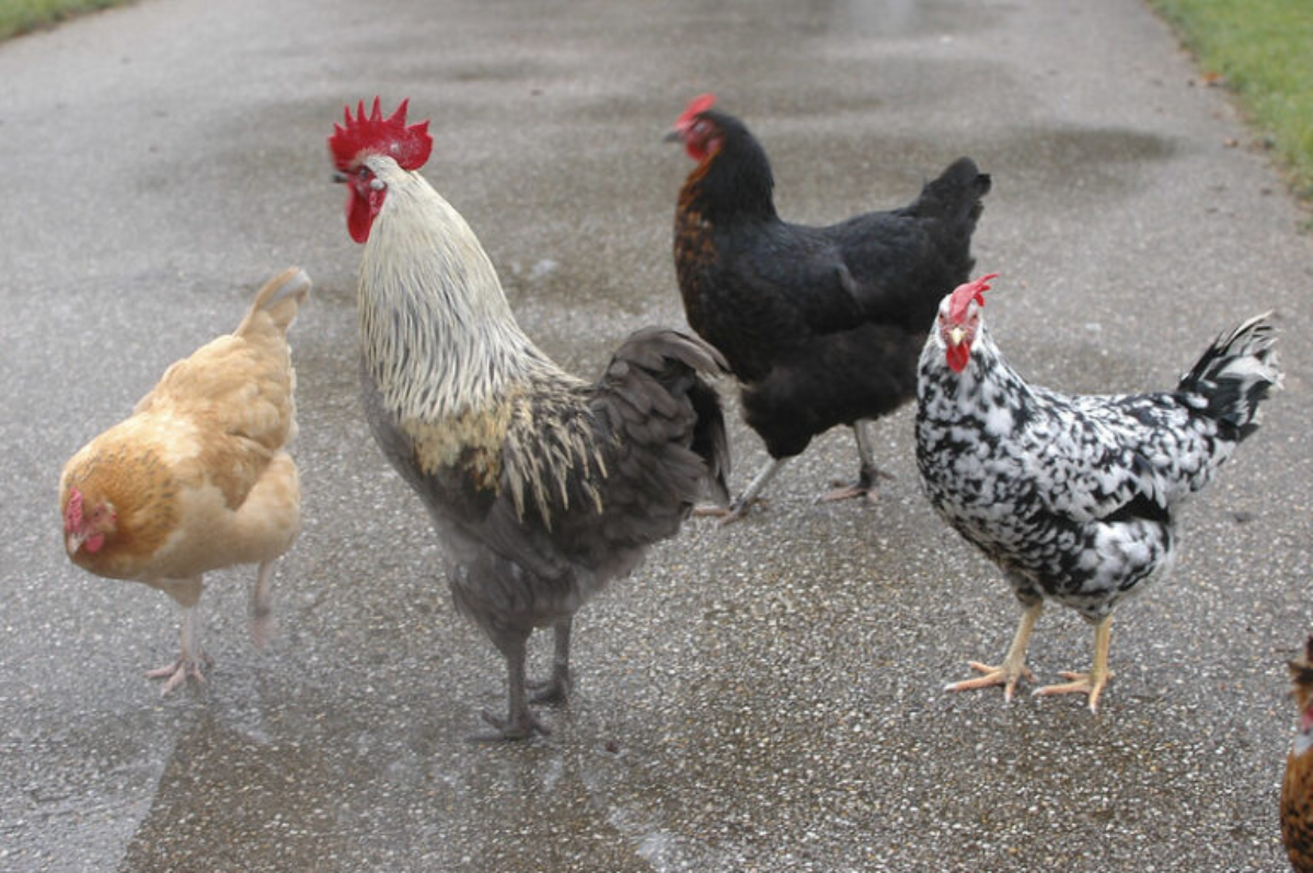 Геологический автограф современности | Сетка — социальная сеть от hh.ru