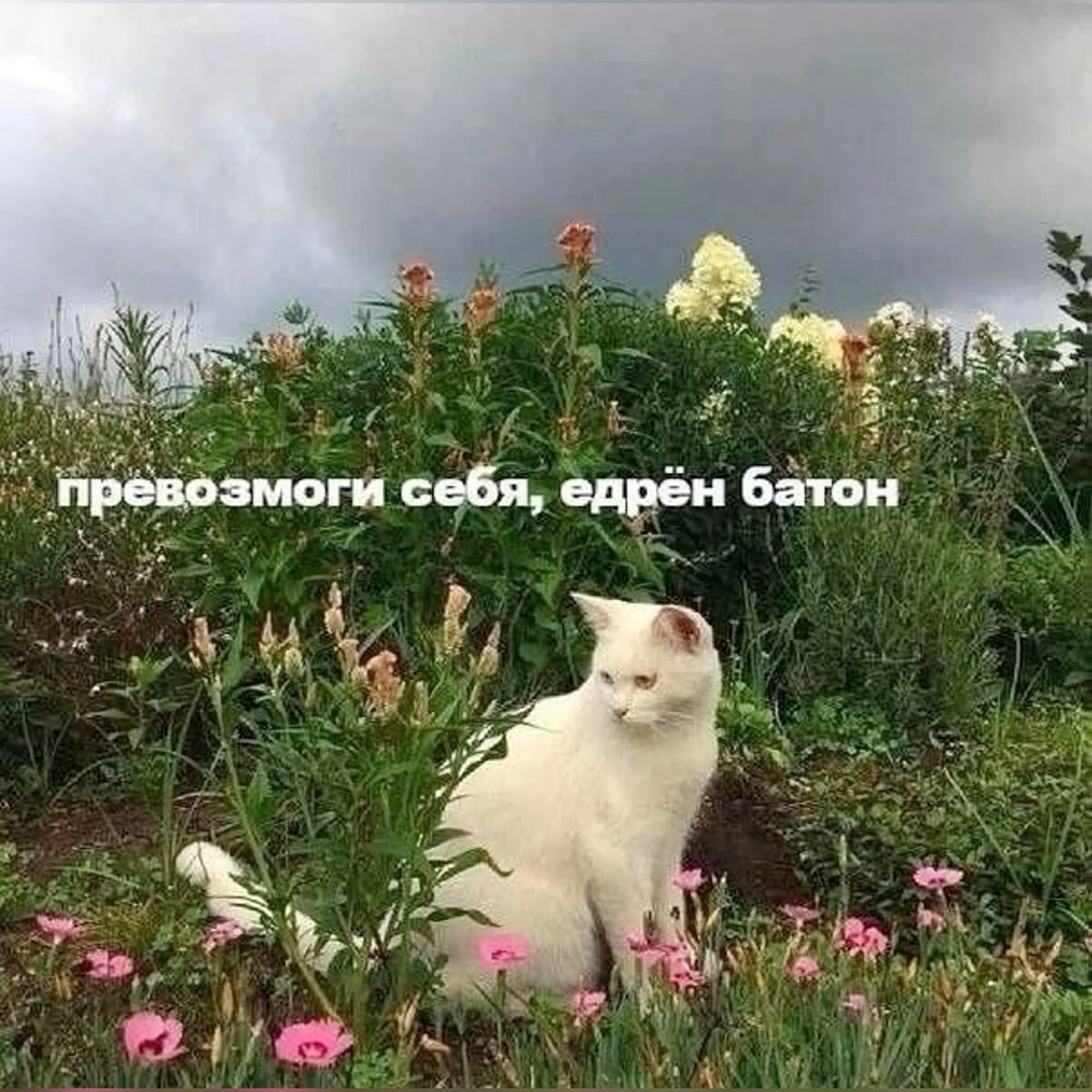 Работать с СДВГ можно и нужно | Сетка — социальная сеть от hh.ru