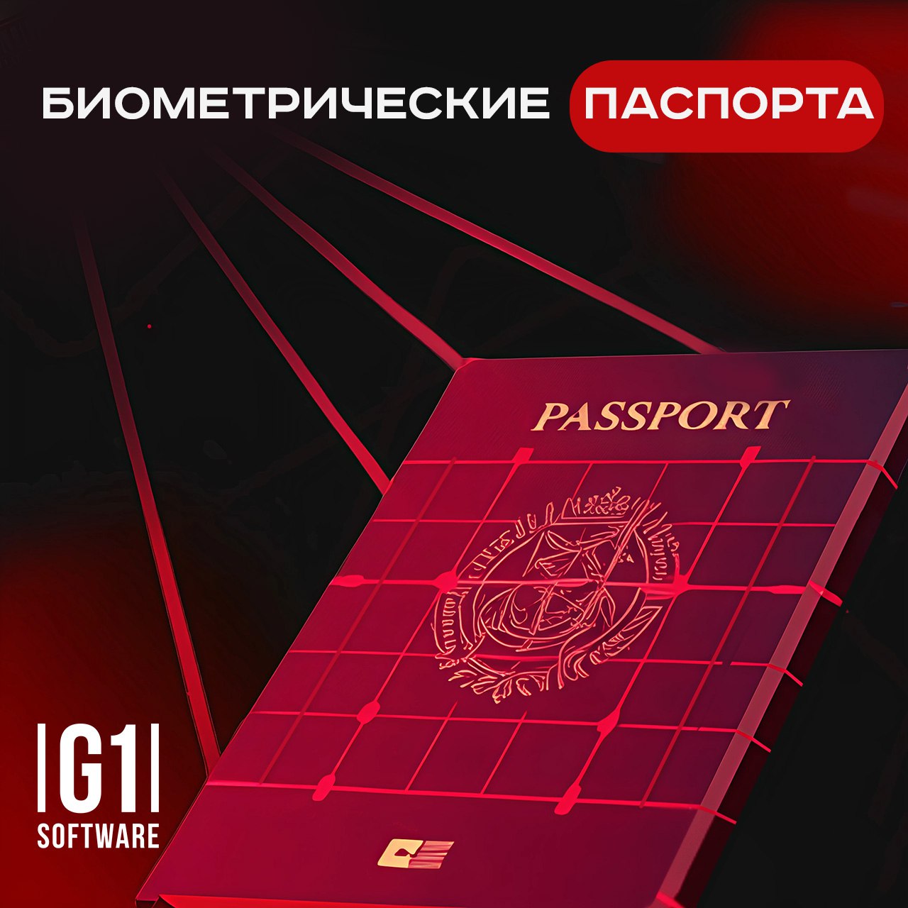 Биометрические паспорта
В 2025 году Евросоюз планирует запуск единой системы въезда и выезда — Entry/Exit System (EES) | Сетка — социальная сеть от hh.ru