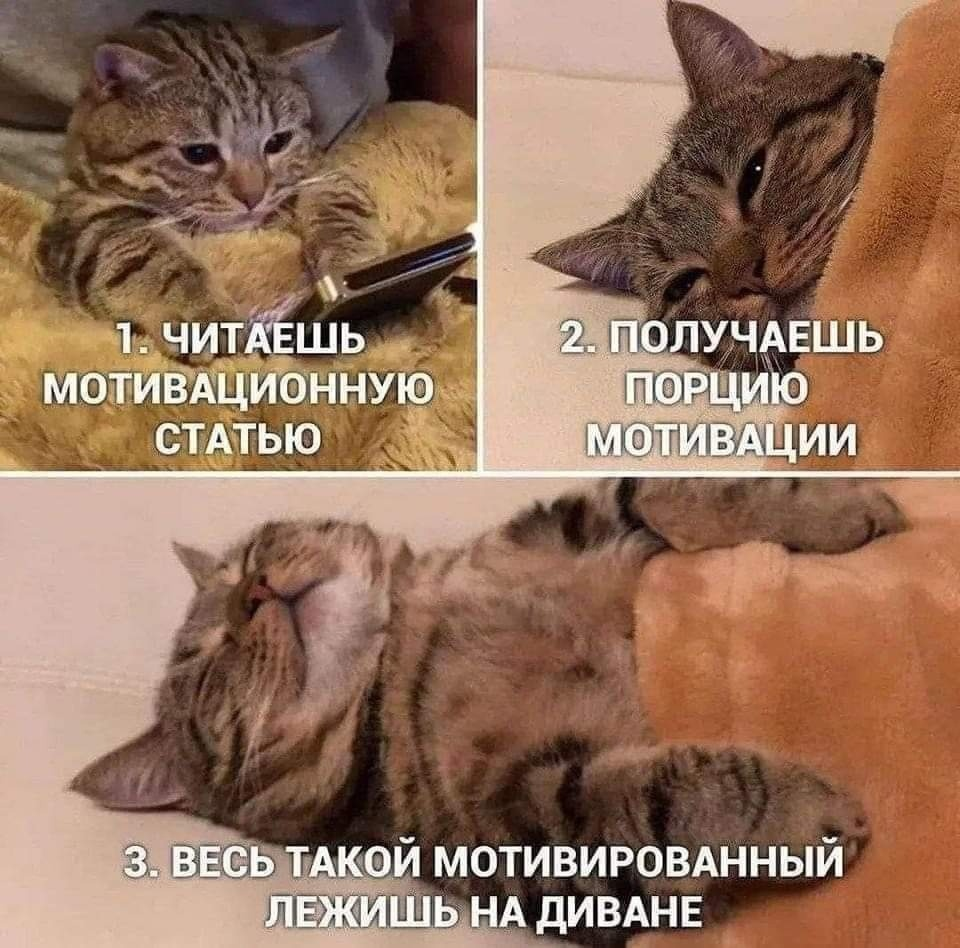 Как я перестала раздавать авансы и начала мотивировать | Сетка — социальная сеть от hh.ru
