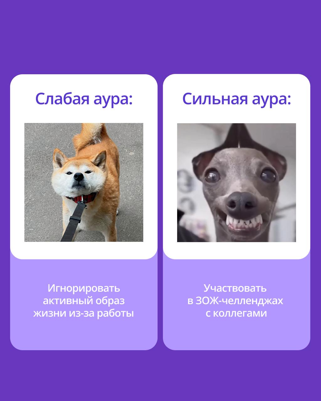 🟣 В чем секрет продуктивности?
Сильную команду отличает не только профессионализм, но и атмосфера, в которой хочется творить | Сетка — социальная сеть от hh.ru