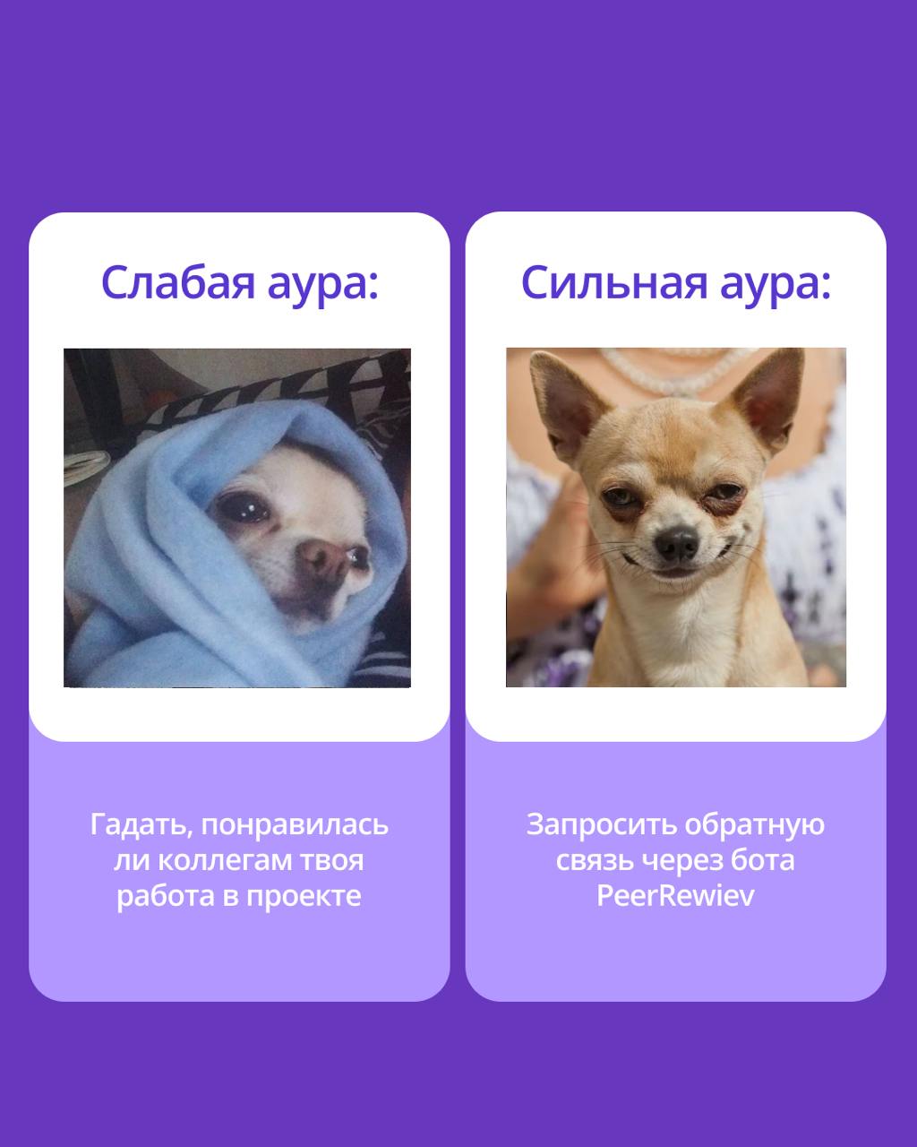 🟣 В чем секрет продуктивности?
Сильную команду отличает не только профессионализм, но и атмосфера, в которой хочется творить | Сетка — социальная сеть от hh.ru