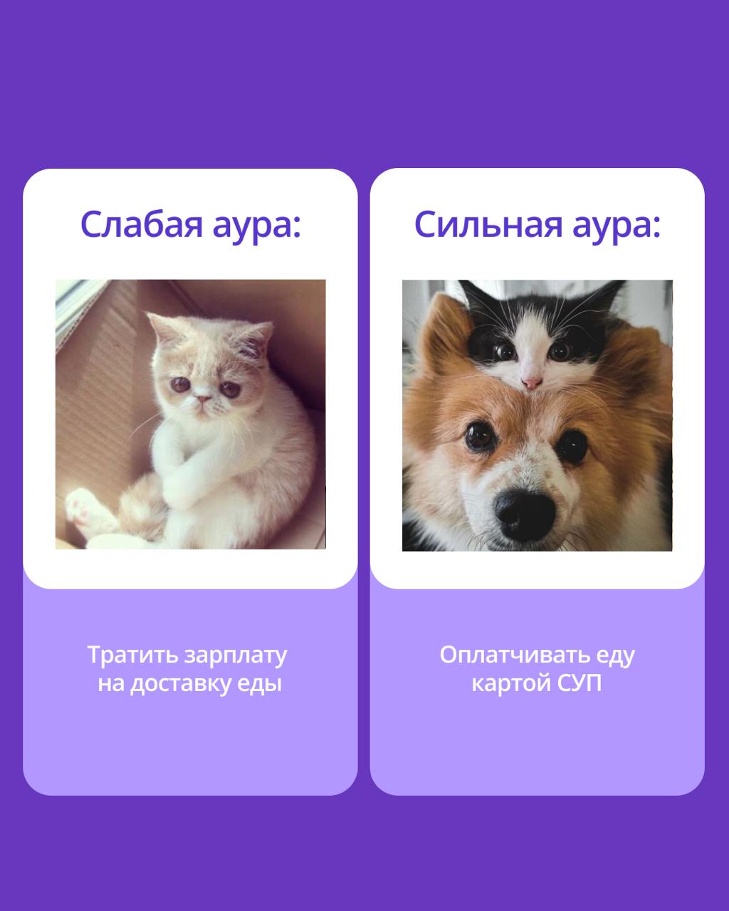 🟣 В чем секрет продуктивности?
Сильную команду отличает не только профессионализм, но и атмосфера, в которой хочется творить | Сетка — социальная сеть от hh.ru