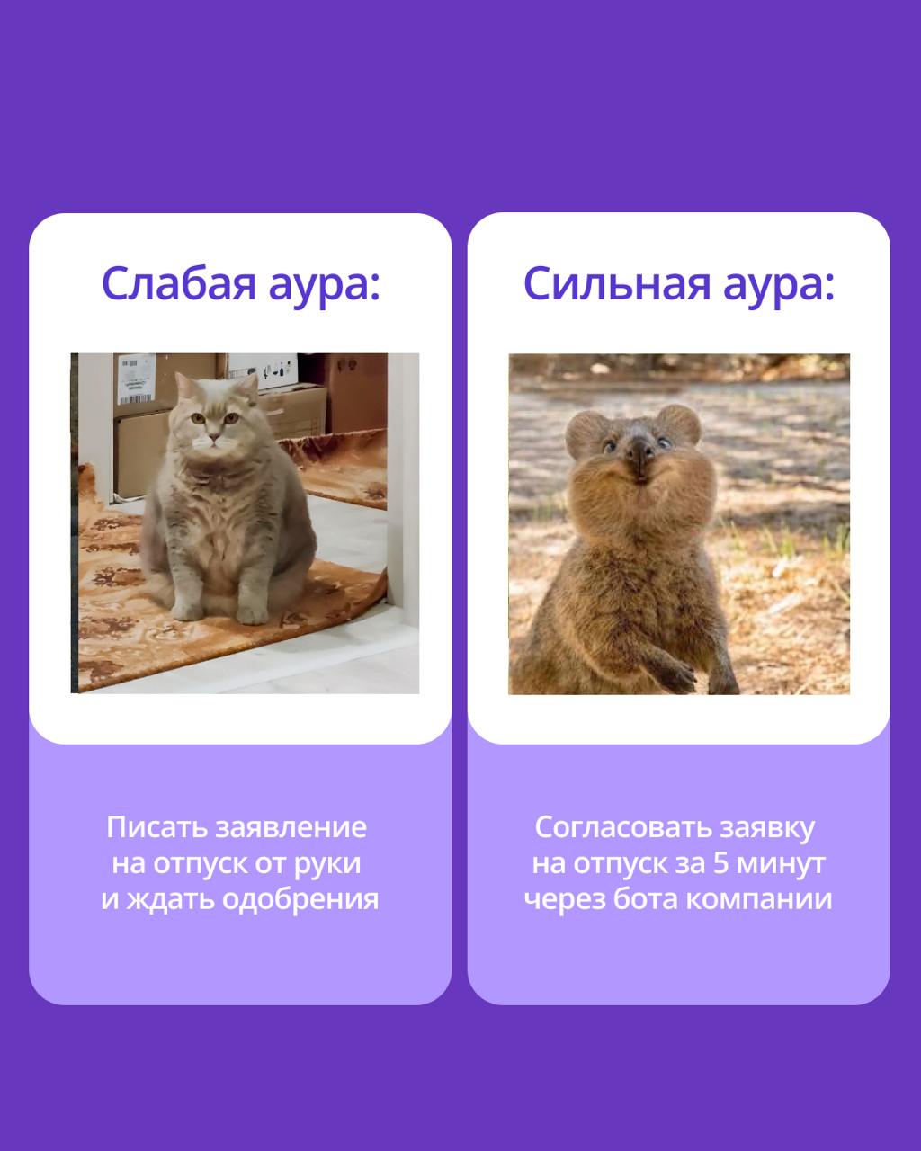 🟣 В чем секрет продуктивности?
Сильную команду отличает не только профессионализм, но и атмосфера, в которой хочется творить | Сетка — социальная сеть от hh.ru