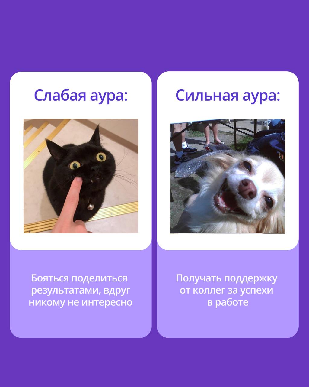 🟣 В чем секрет продуктивности?
Сильную команду отличает не только профессионализм, но и атмосфера, в которой хочется творить | Сетка — социальная сеть от hh.ru