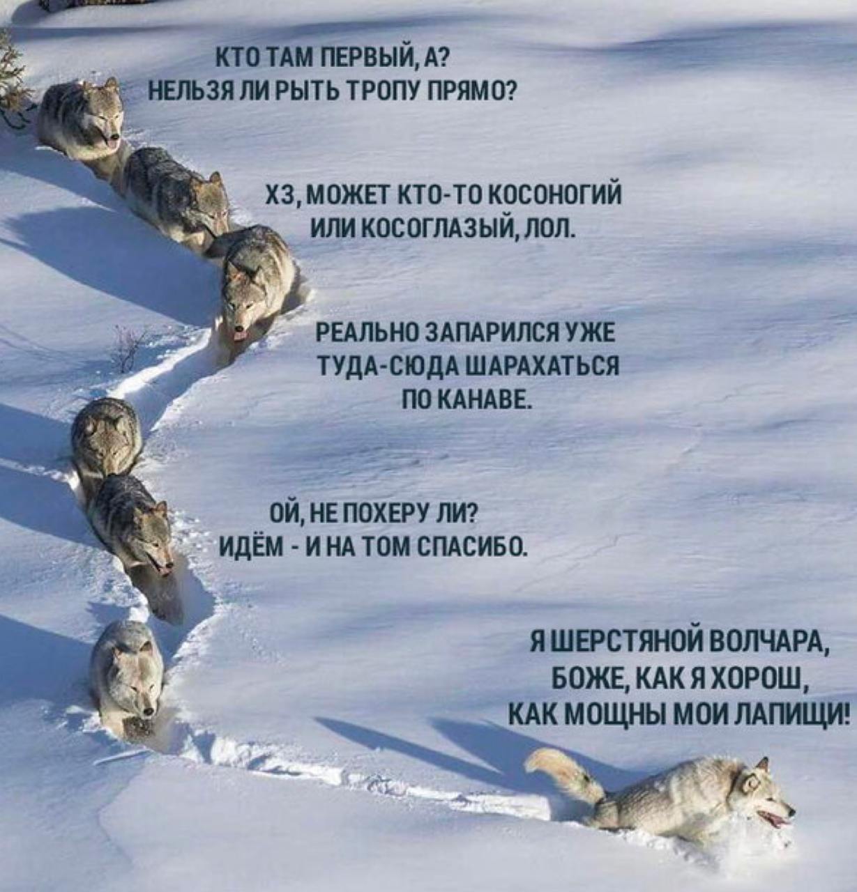 Как руководителю потерять доверие команды и вернуть
Вы помните, что в последнее время я много говорил про доверие, и в этом сезоне у меня будет ещё один доклад на эту тему | Сетка — социальная сеть от hh.ru