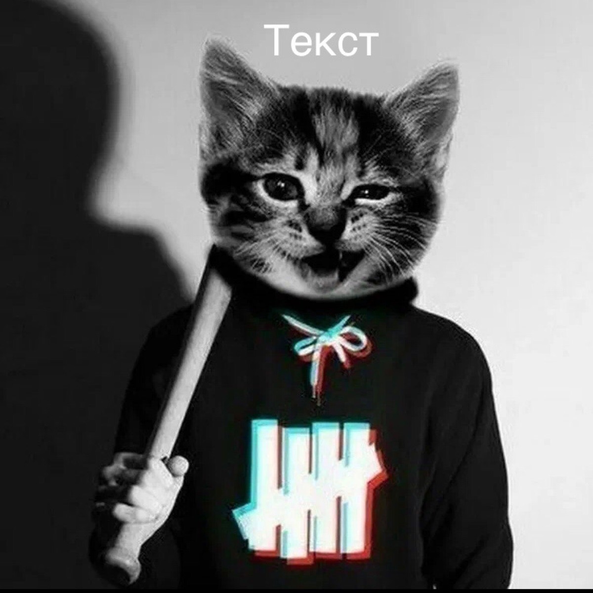 Вика Царенко