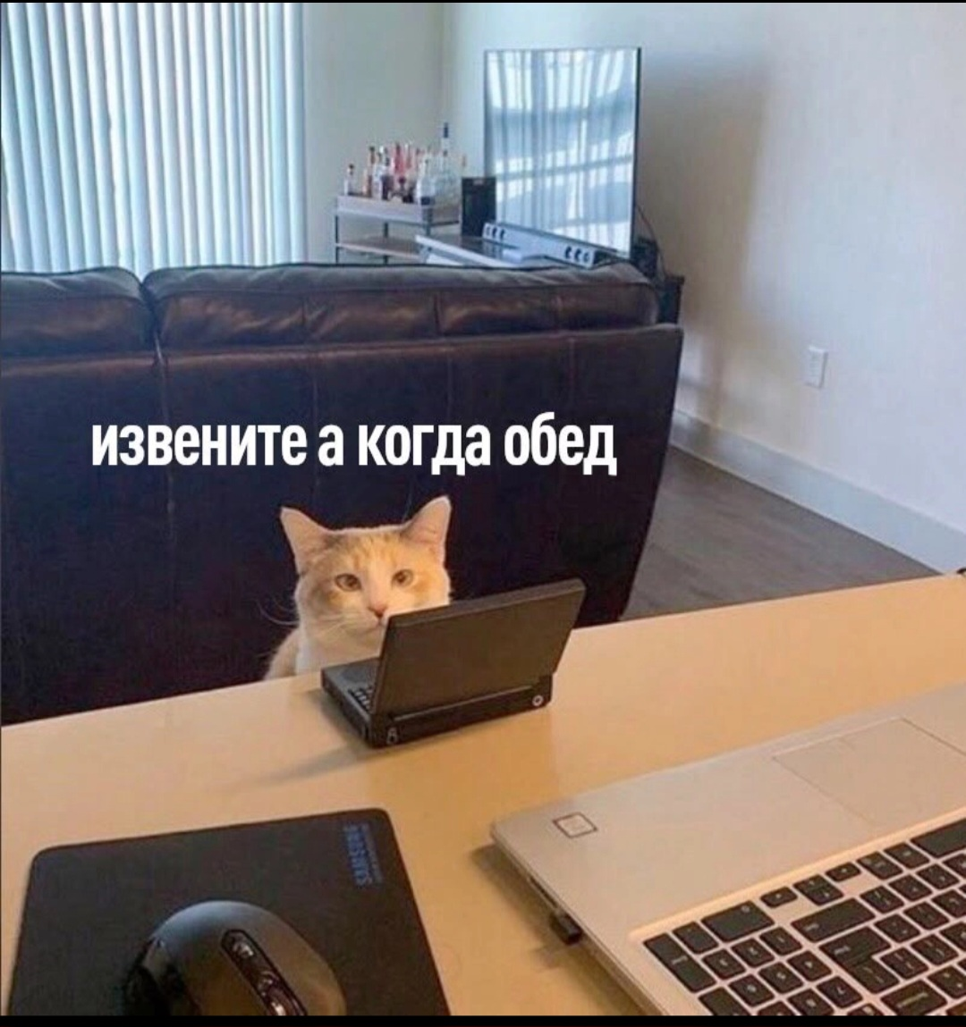 Добро пожаловать!) | Сетка — социальная сеть от hh.ru