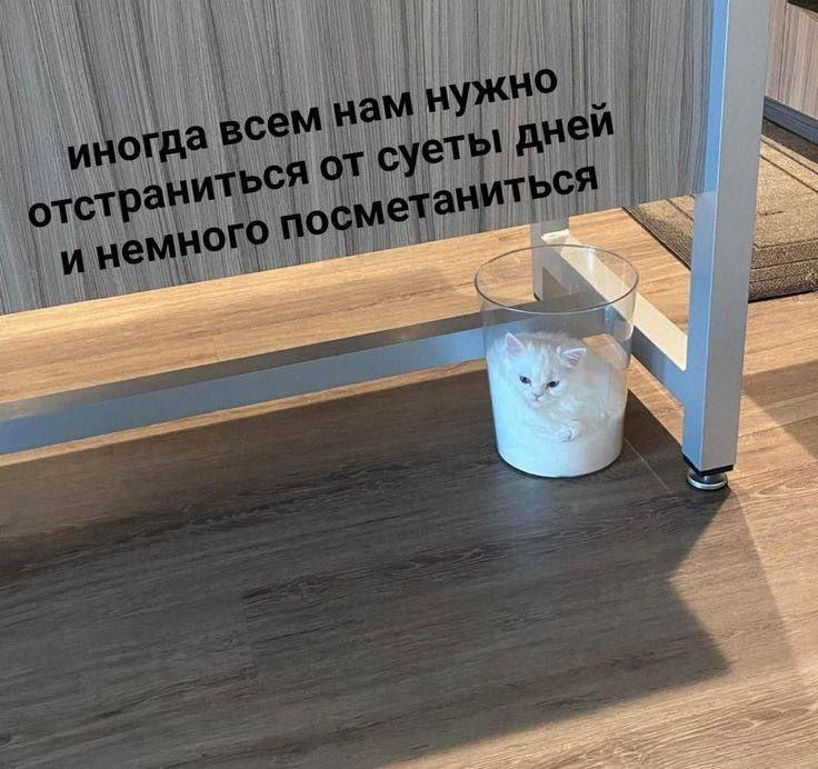 🤝 Сплочённость команды: корпоративный must-have или лишняя головная боль?
Когда-то сплочение коллектива казалось священным Граалем HR-стратегии | Сетка — социальная сеть от hh.ru
