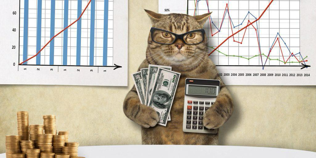 Котики и управление. | Сетка — социальная сеть от hh.ru