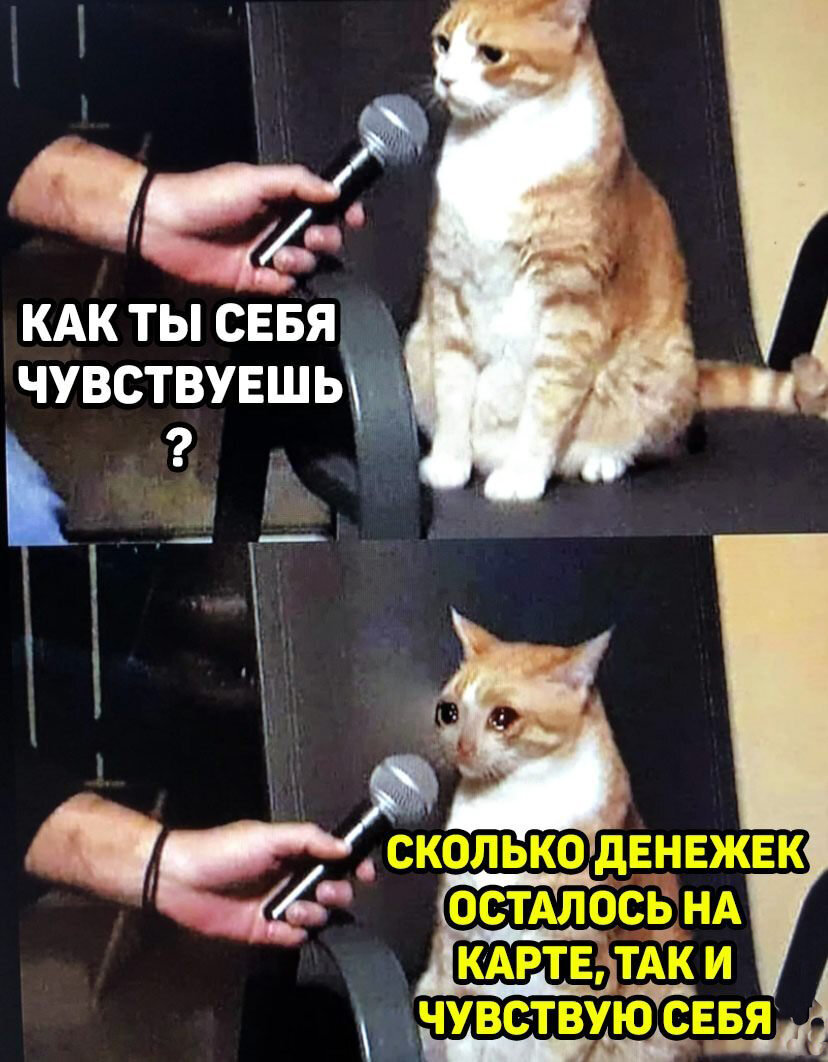Почему 80% клиентов говорят «нет»? Секреты психологии. | Сетка — социальная сеть от hh.ru