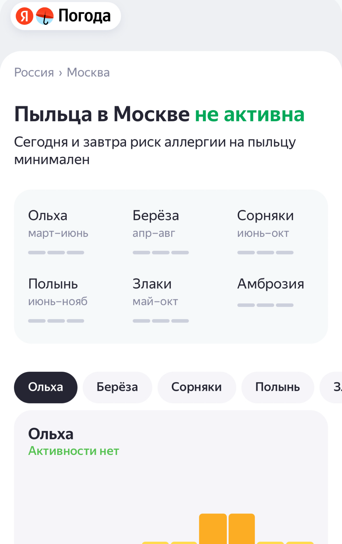 Ольха, береза, сорняки | Сетка — социальная сеть от hh.ru