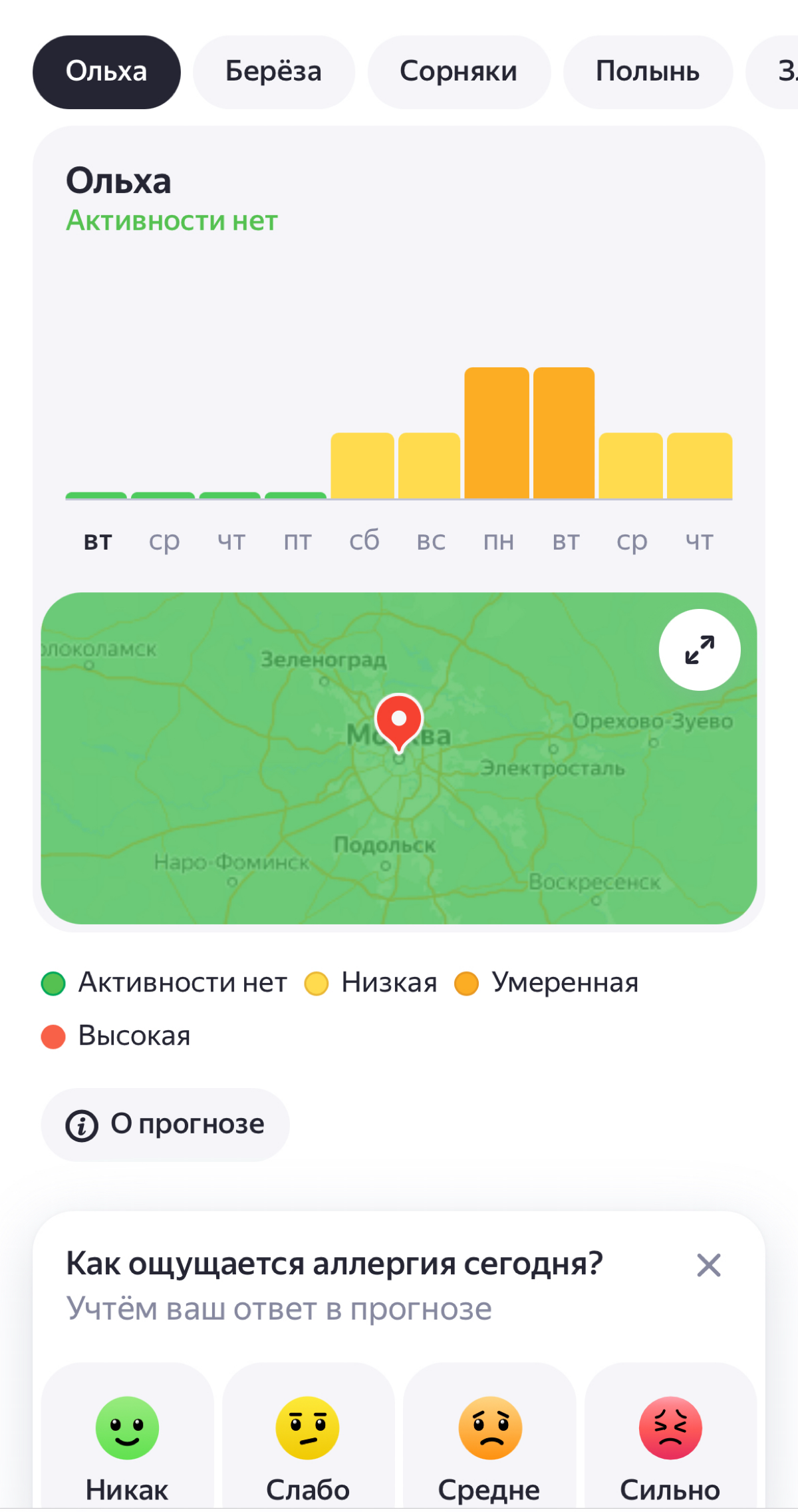 Ольха, береза, сорняки | Сетка — социальная сеть от hh.ru