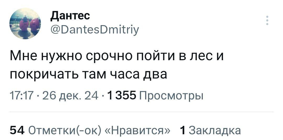 И обнять березу🌳 | Сетка — социальная сеть от hh.ru