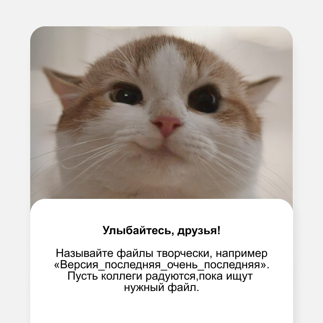 Как сделать офисную жизнь… интереснее?
Корпоративная этика — это правила общения на работе. Но если хочется добавить перчинки в рабочие будни, можно ими и пренебречь | Сетка — социальная сеть от hh.ru