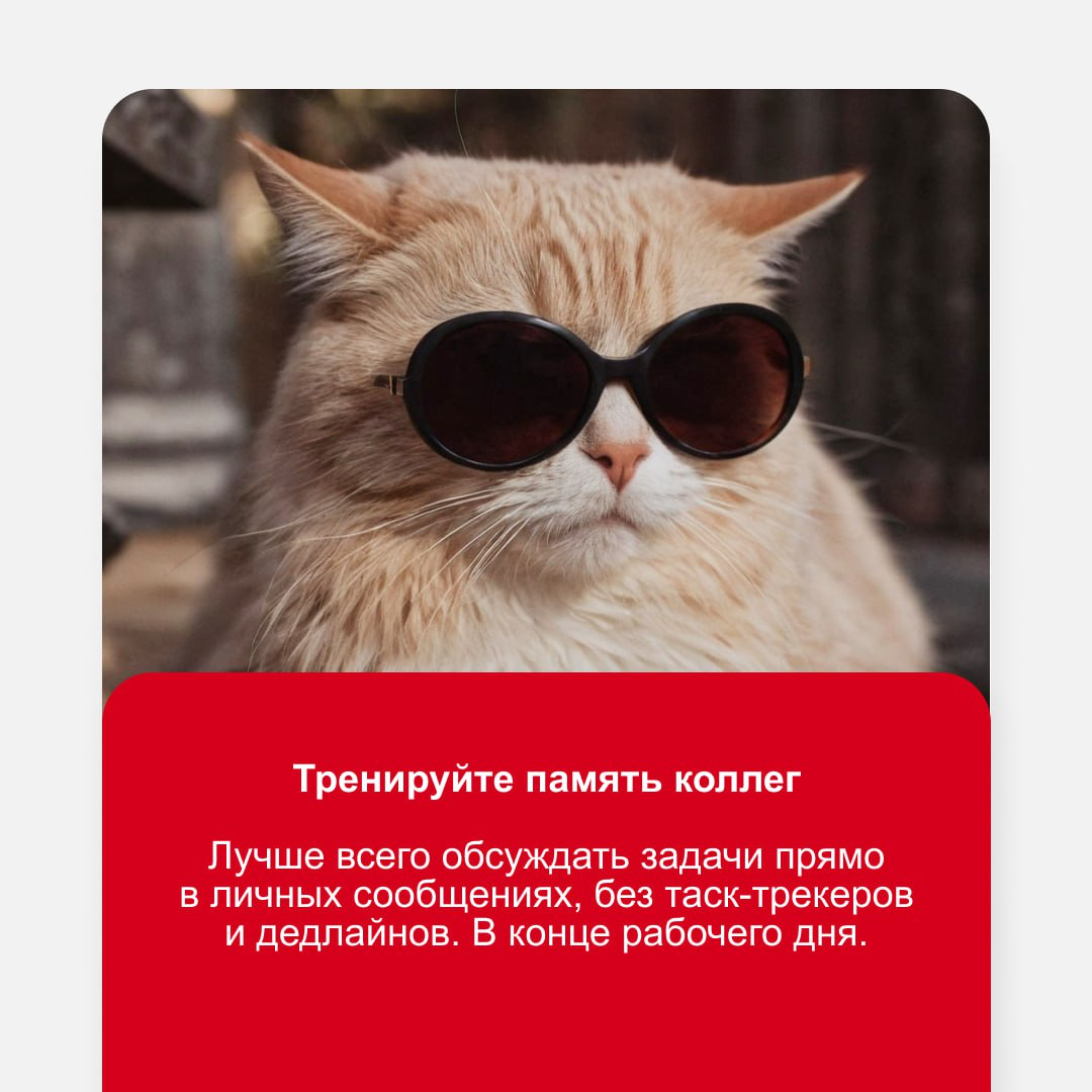 Как сделать офисную жизнь… интереснее?
Корпоративная этика — это правила общения на работе. Но если хочется добавить перчинки в рабочие будни, можно ими и пренебречь | Сетка — социальная сеть от hh.ru