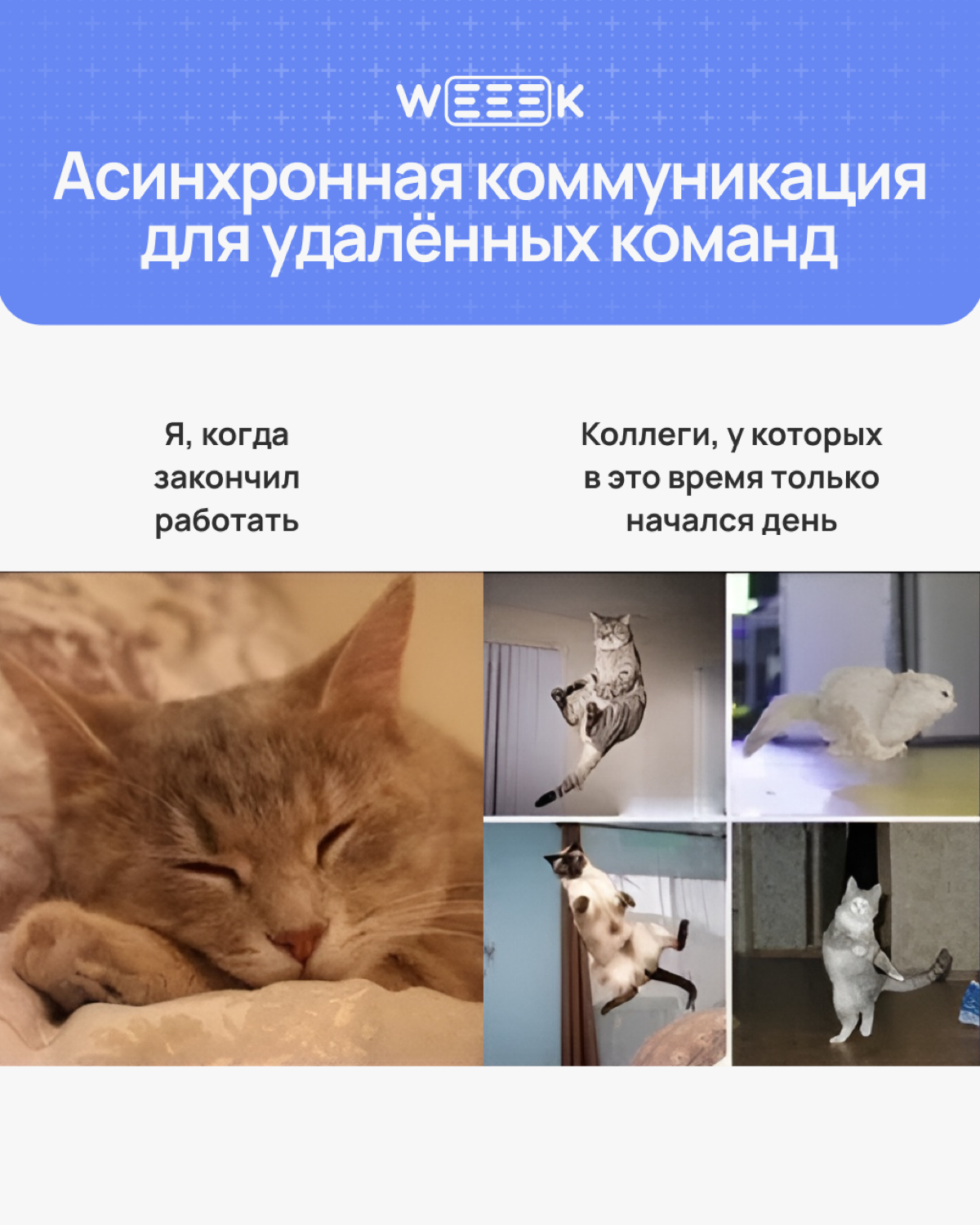 Про распределенную команду | Сетка — социальная сеть от hh.ru
