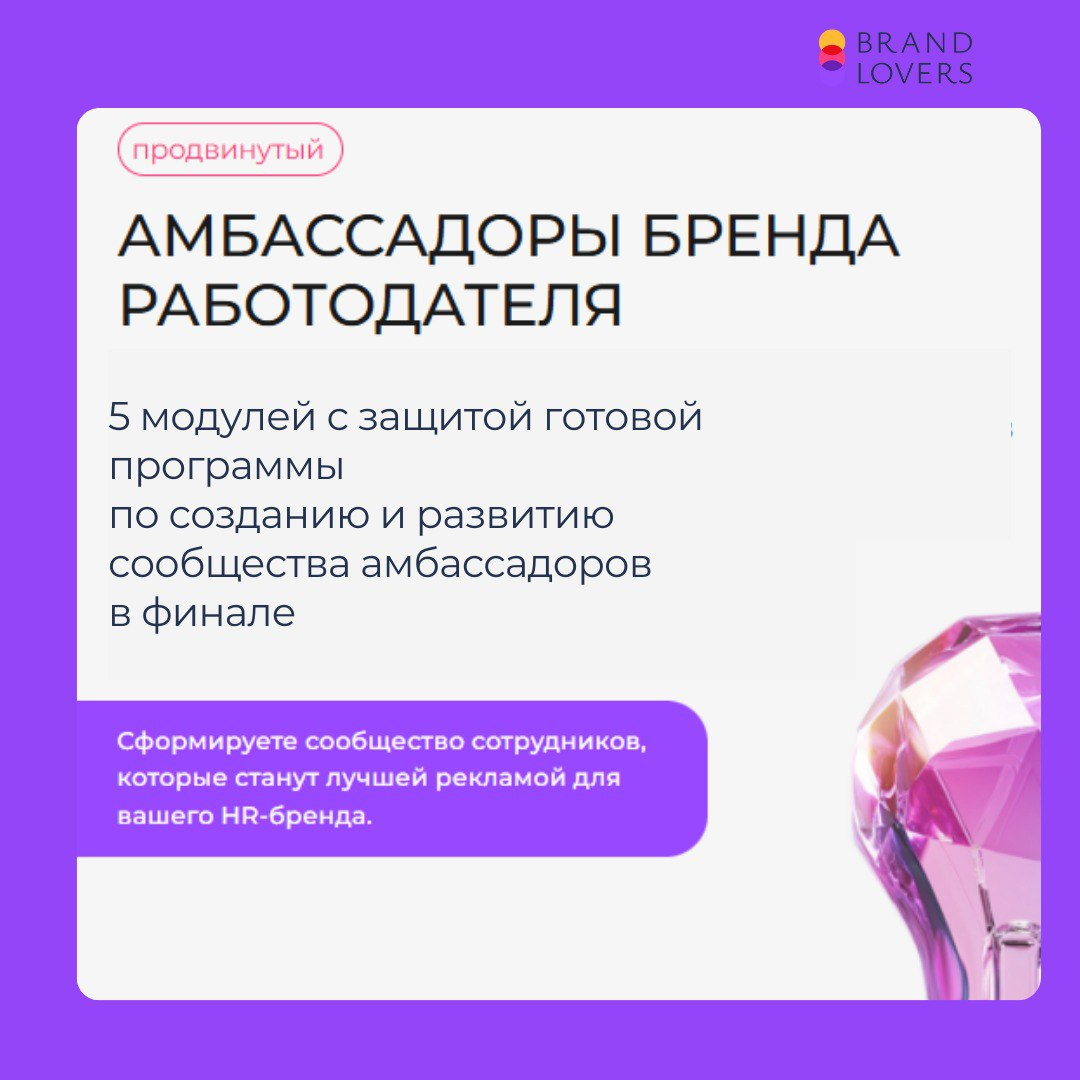 HR интенсивы для компаний: короткий путь к производтельности | Сетка — социальная сеть от hh.ru