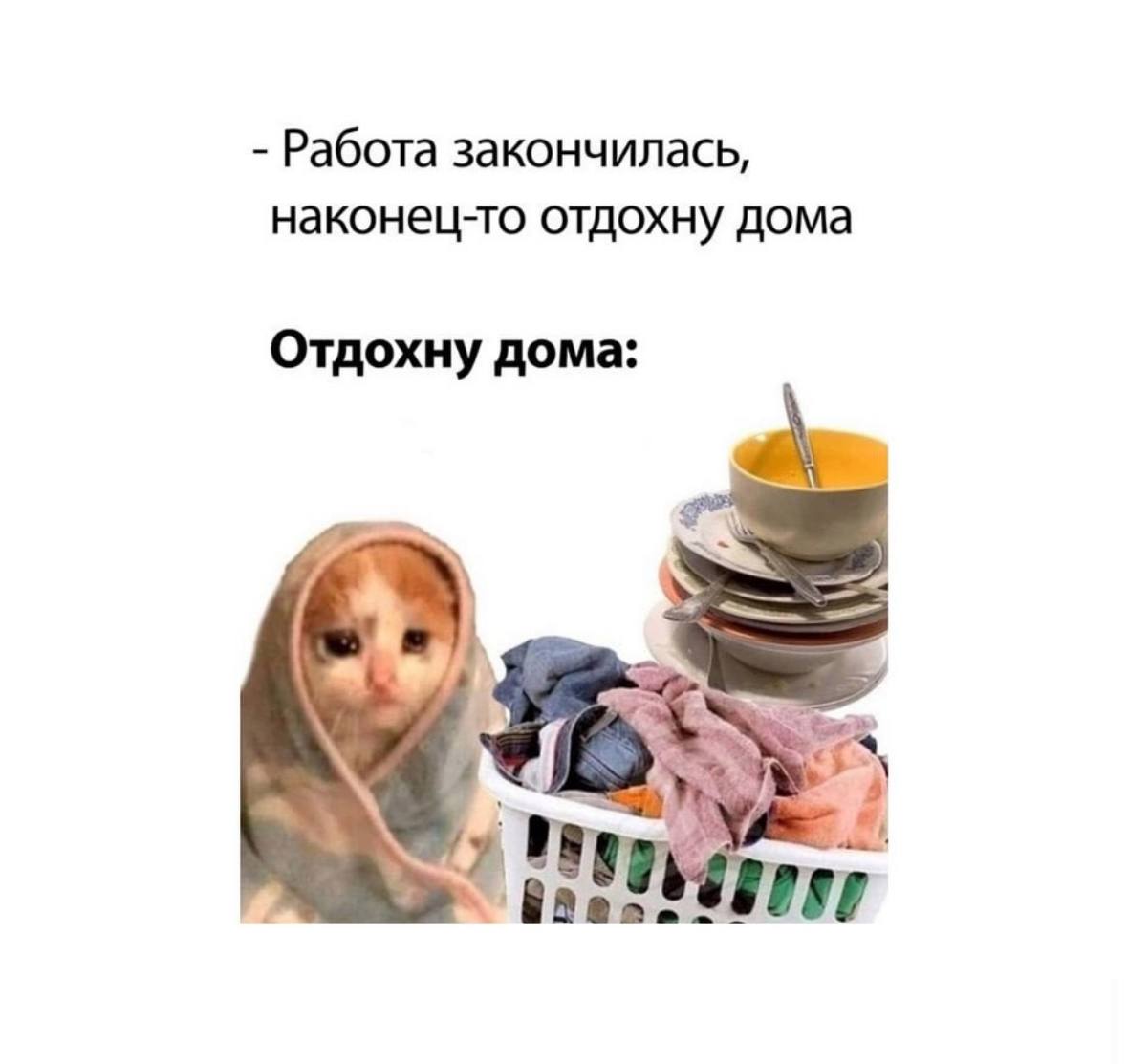 Ваш повод немного улыбнуться и посмеяться 💚 | Сетка — социальная сеть от hh.ru