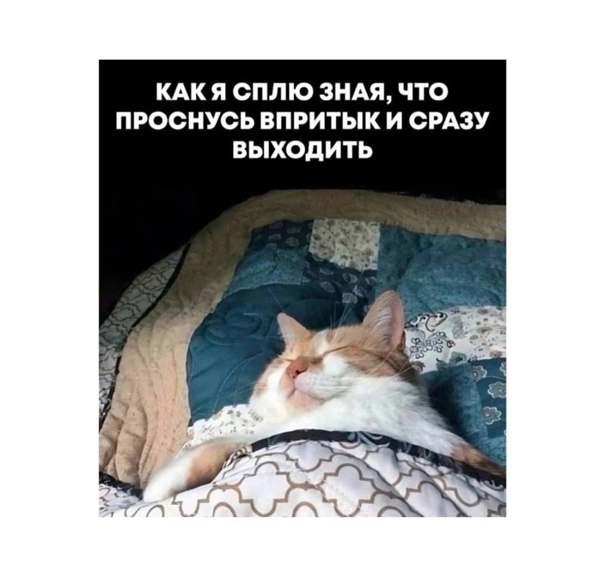 Ваш повод немного улыбнуться и посмеяться 💚 | Сетка — социальная сеть от hh.ru