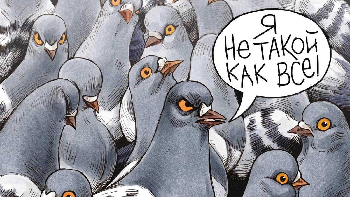 comment image