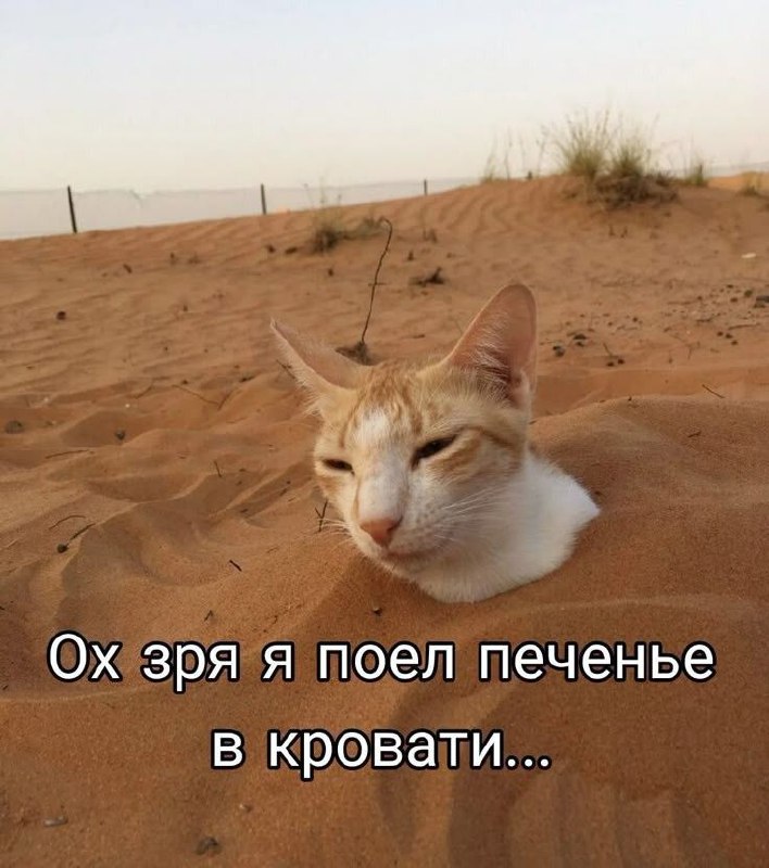 Я становлюсь морально тем самым дедом, который смеётся от, казалось бы, не очень смешной фотки. Я тут в Пинтерест зарылся в этих подборках и прям не можу 😂
Сука, я старый... | Сетка — социальная сеть от hh.ru