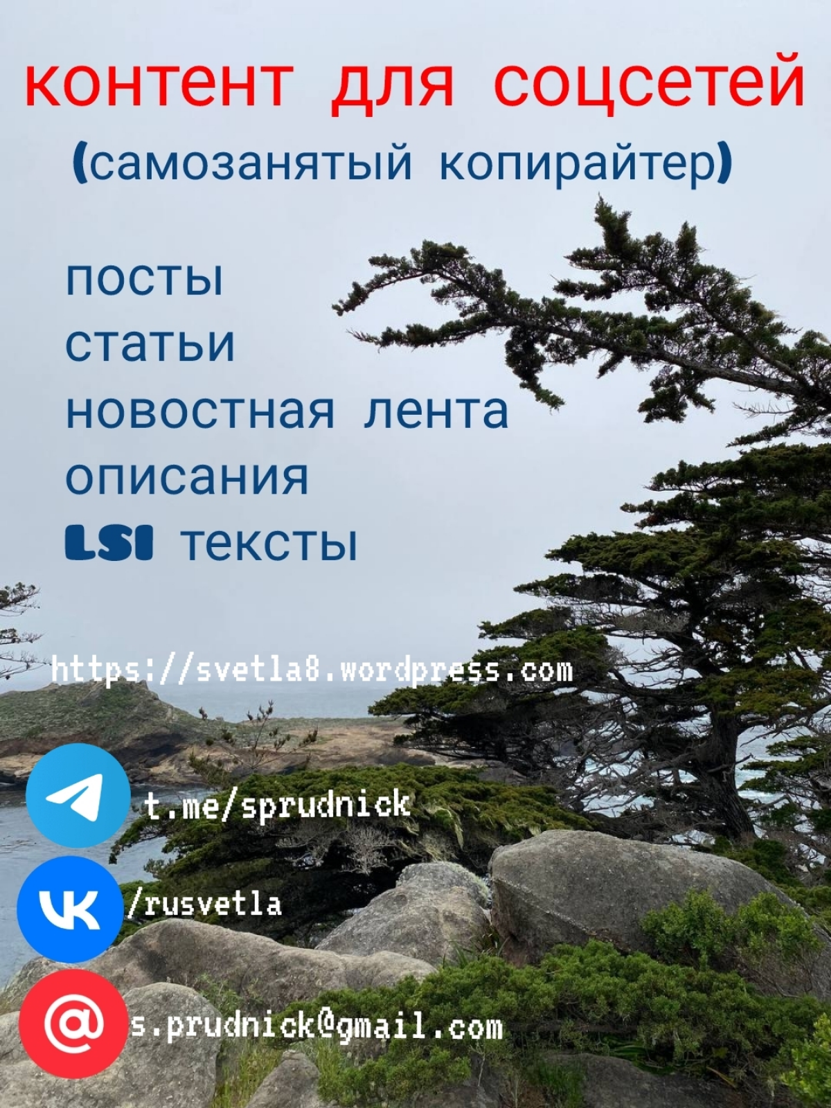 LSI ТЕКСТ. ЧТО ЗА ЗВЕРЬ? КАК ПРИРУЧИТЬ? | Сетка — социальная сеть от hh.ru