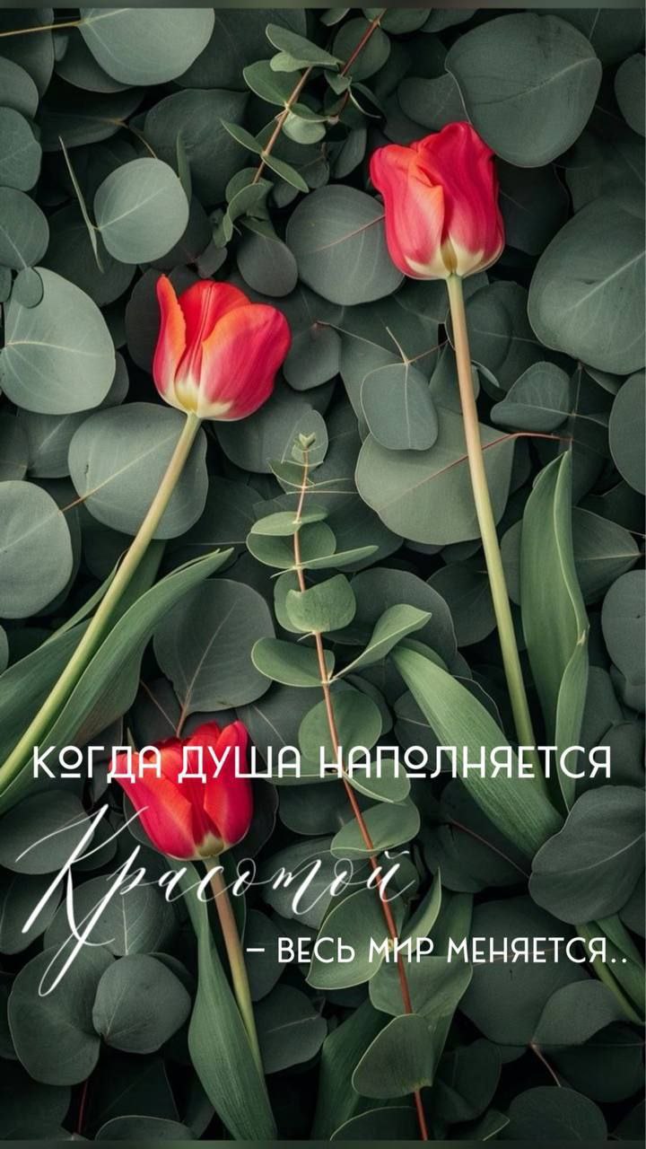 Доброе утро мои дорогие!
Каждый наш день - это маленькая жизнь. И я желаю вам прожить эту жизнь с удовольствием ❤️ | Сетка — социальная сеть от hh.ru