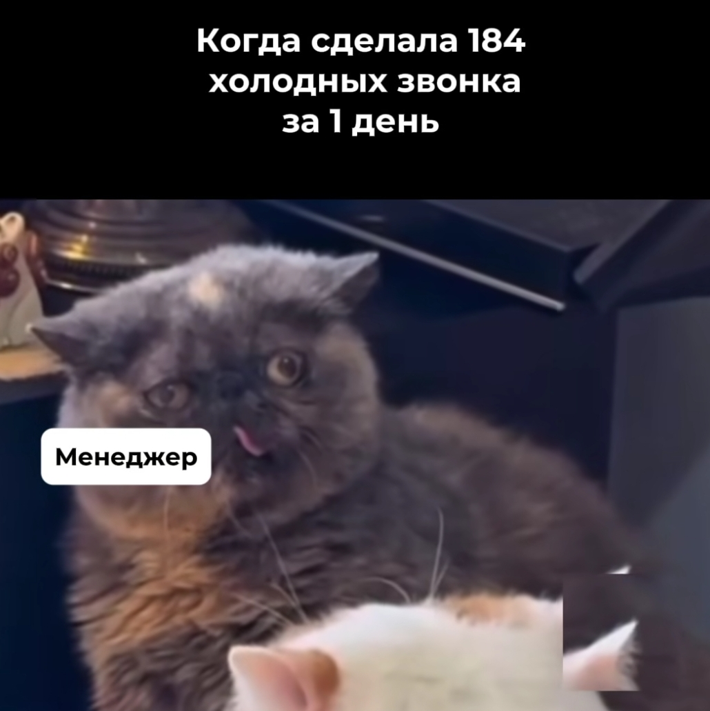 Когда там уже майские?) | Сетка — социальная сеть от hh.ru