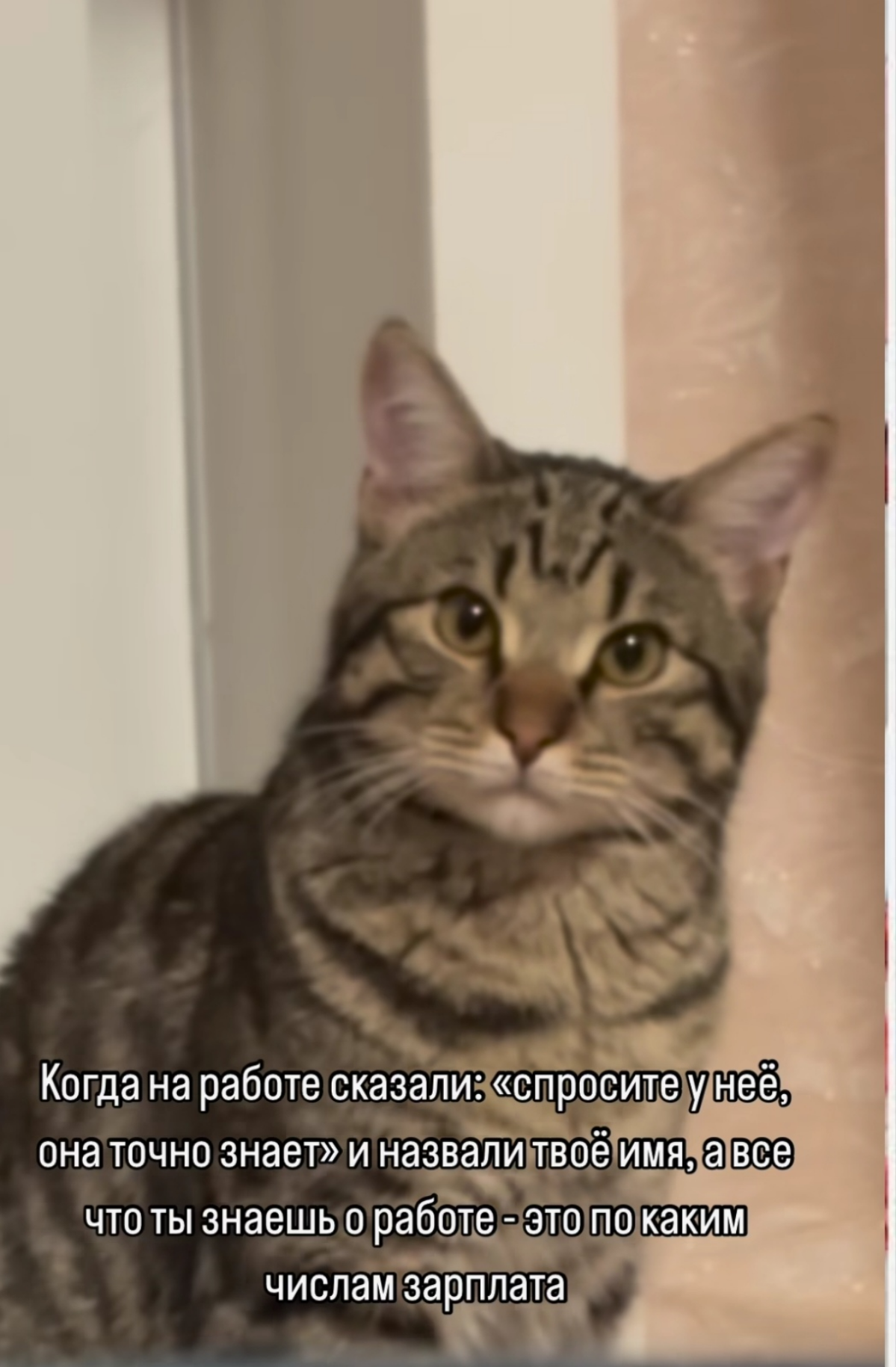 Когда там уже майские?) | Сетка — социальная сеть от hh.ru