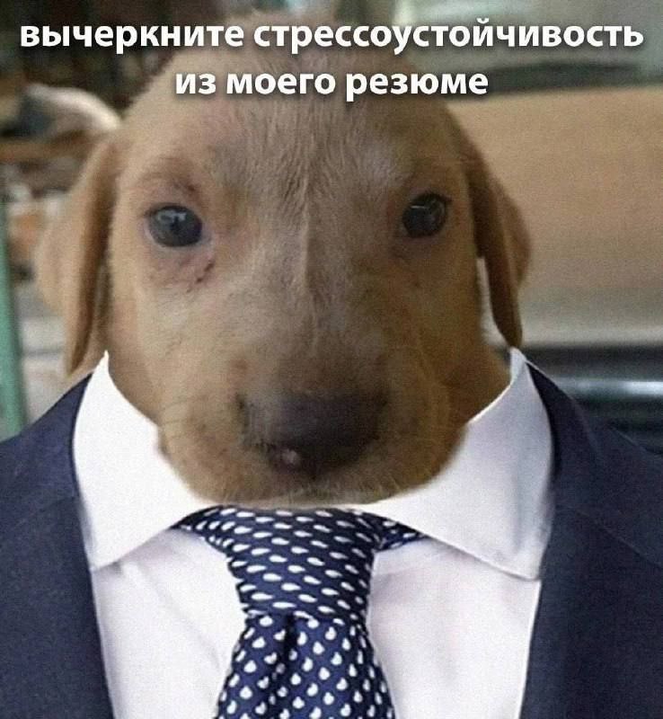Нужно ли писать зарплатные ожидания в резюме
Такой вопрос мне задали на консультации | Сетка — социальная сеть от hh.ru