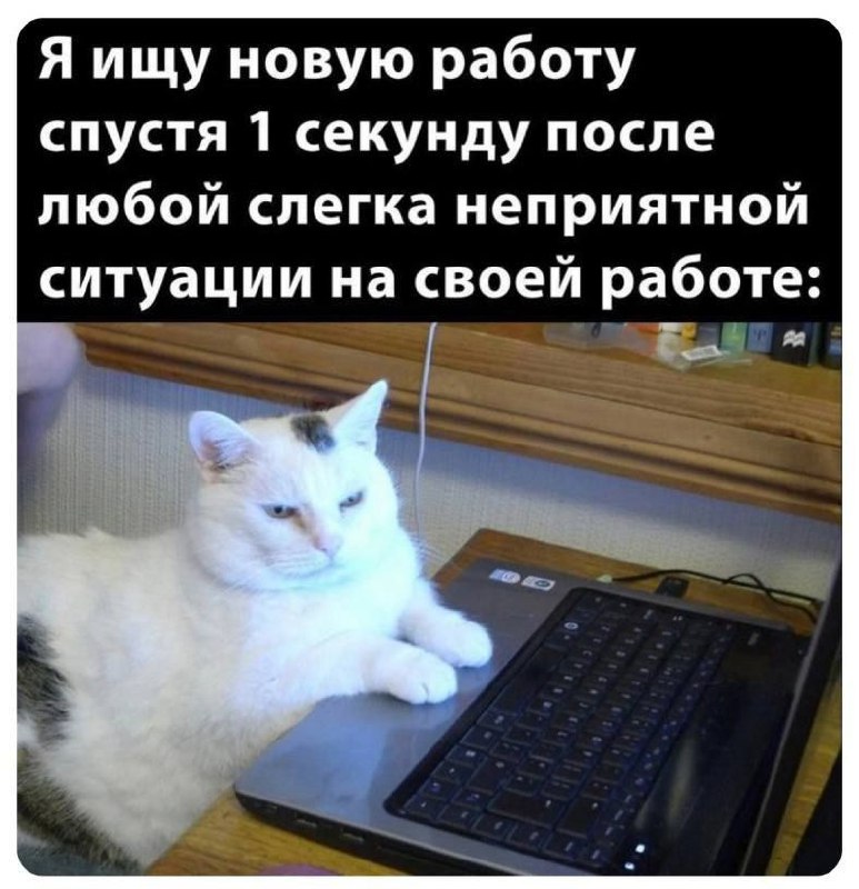 Привет, труженики! 🐝
Специально для тех, кого не ценят и кто планирует менять работу, сегодня новые вакансии! | Сетка — социальная сеть от hh.ru
