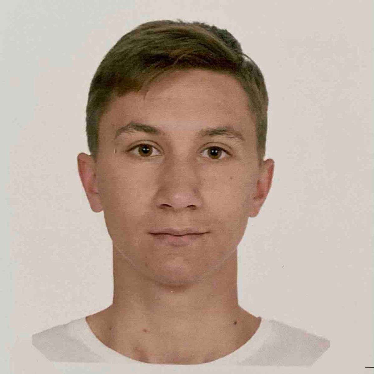 Сергей Шипицын