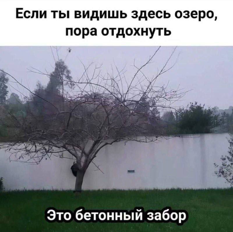 Мое настроение до конца этой недели | Сетка — социальная сеть от hh.ru