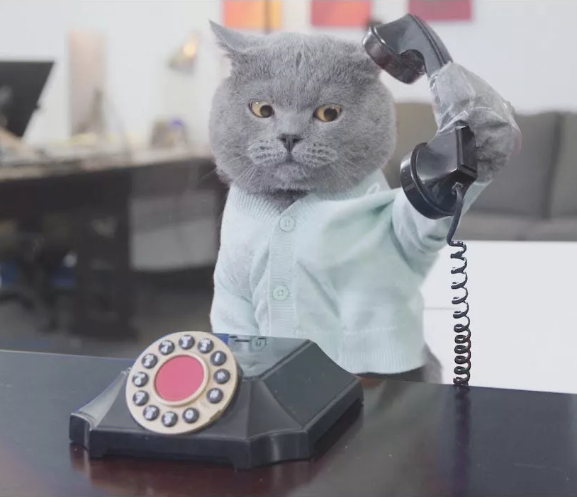 ИЩЕМ ПОМОЩНИКА МЕНЕДЖЕРА ПО ПРОДАЖАМ НА УДАЛЕННУЮ РАБОТУ | Сетка — социальная сеть от hh.ru