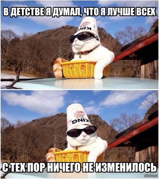Хватит задирать нос
Или как не стать тем самым типом, который всем надоел своими бесконечными «я лучший» и «смотрите, как я крут» | Сетка — социальная сеть от hh.ru