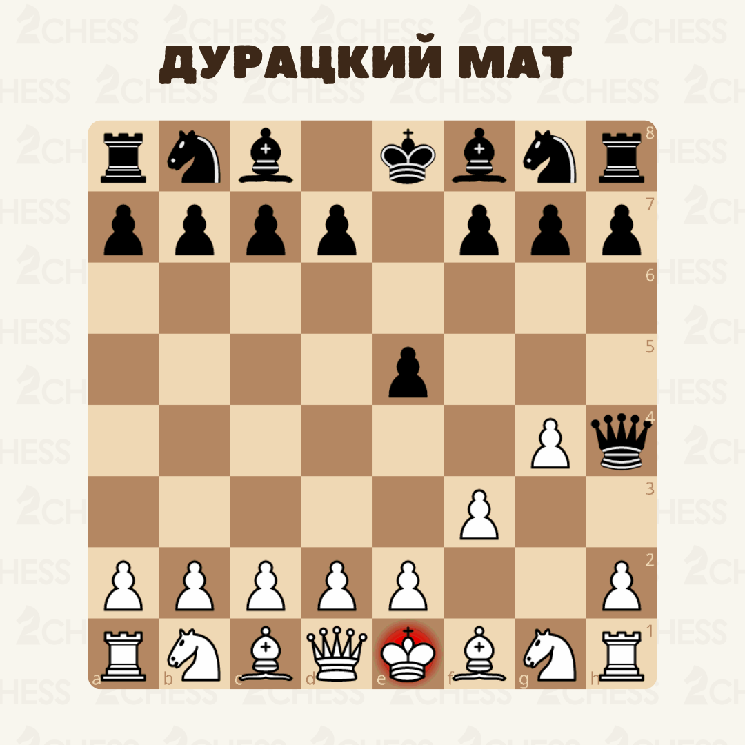 😔 Дурацкий мат — самый быстрый вариант победы в шахматах | Сетка — социальная сеть от hh.ru