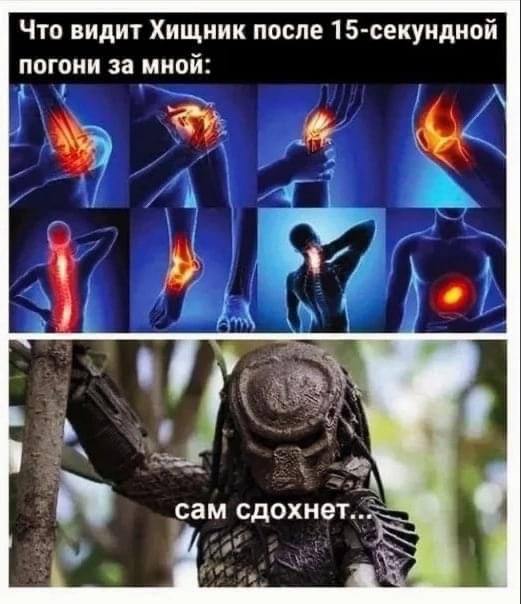 Конечно, серьёзность — штука важная. Особенно когда ты CEO, фаундер, операционщик, продакт, менеджер, бухгалтер, HR и уборщик в одном лице | Сетка — социальная сеть от hh.ru