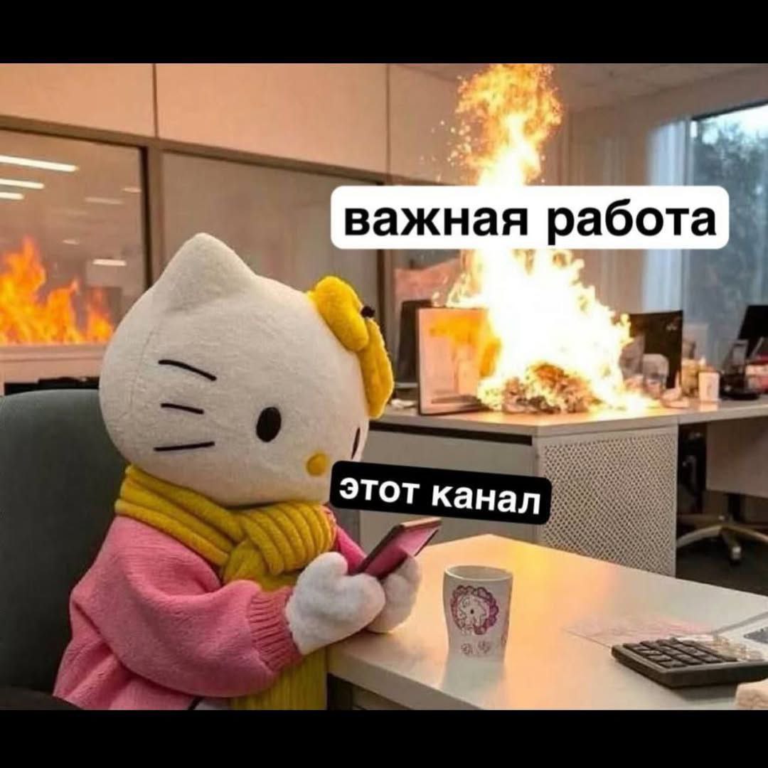 Лайк если да | Сетка — социальная сеть от hh.ru